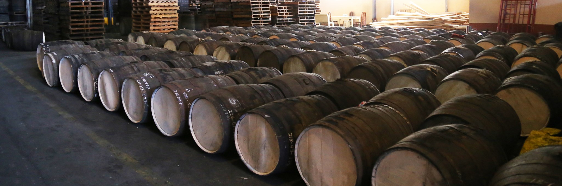 Ron Varadero | Bondston